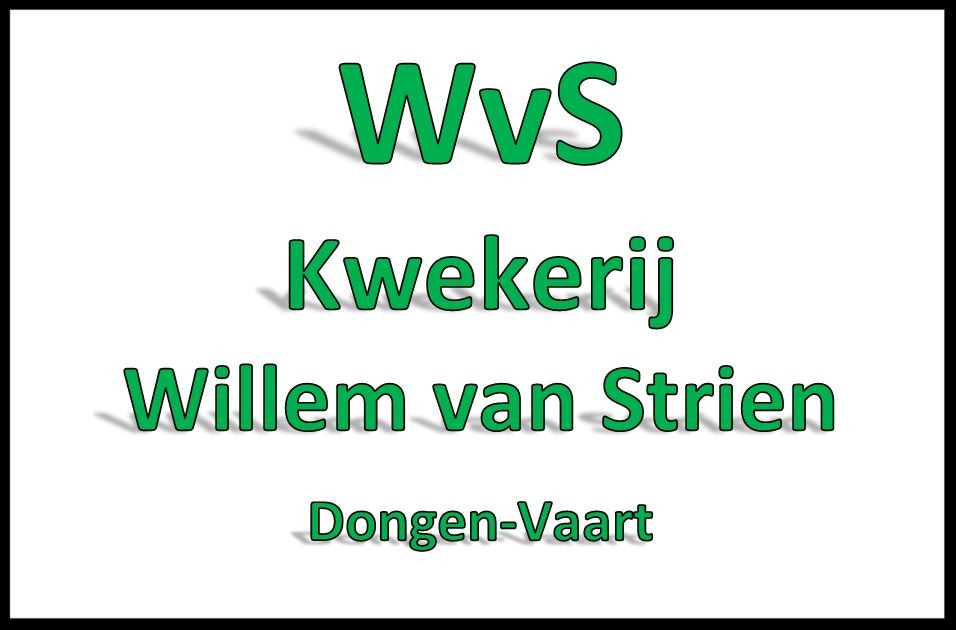 Willem van Strien.JPG